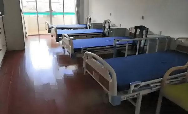 血舞狂龙