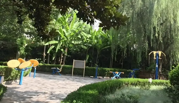 遥遥华胄